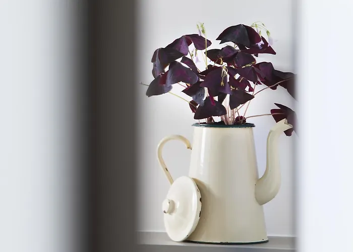 Hotel Les Deux Girafes