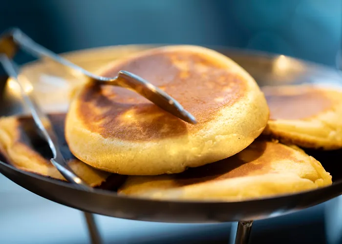 酒店 双长颈鹿酒店